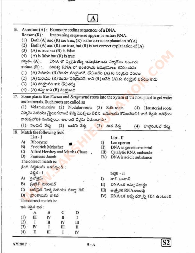 Eamcet 2014 Paper Pdf